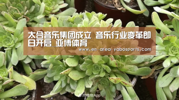 太合音乐集团成立 音乐行业变革即日开启_亚博体育(图3) 亚博