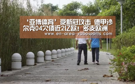 ‘亚博体育’受新冠攻击 德甲沙尔克04欠债近2亿欧!多支欧洲老球队遣散(图4) 亚博官网