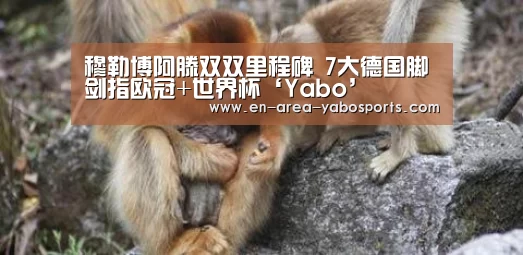 亚博体育