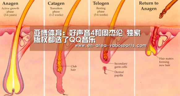 亚博体育:好声音4和周杰伦 独家版权都选了QQ音乐(图1) 亚博体育:好声音4和周杰伦 独家版权都选了QQ音乐(图1)