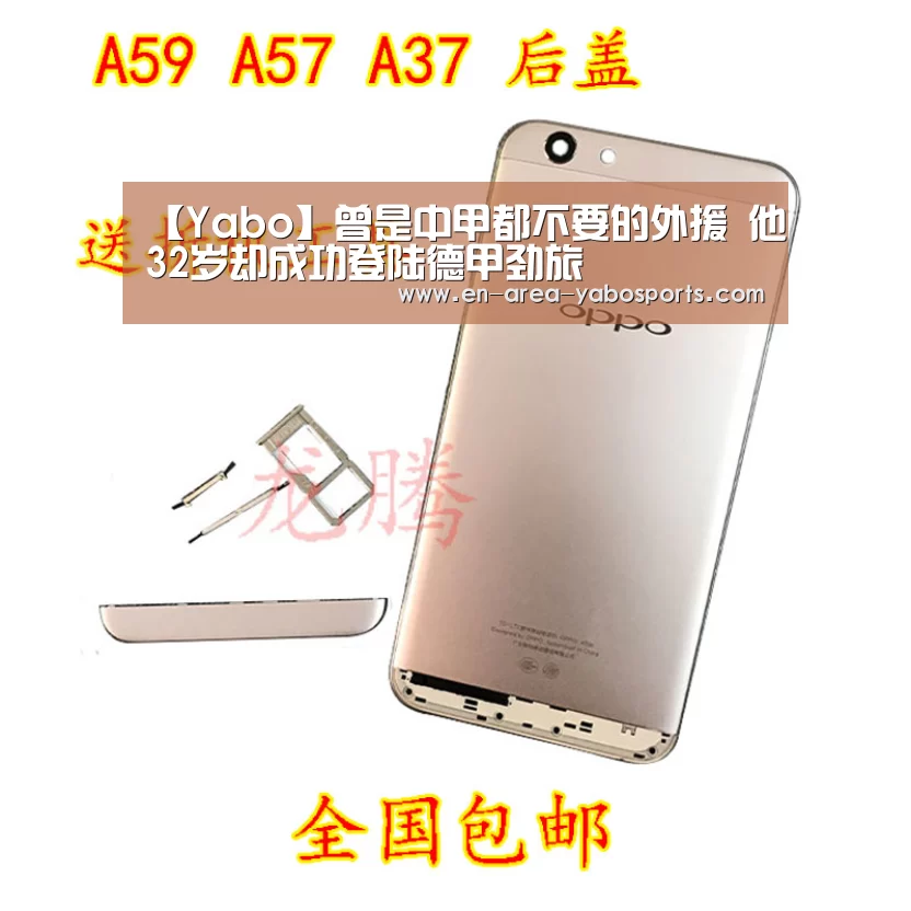 【Yabo】曾是中甲都不要的外援 他32岁却成功登陆德甲劲旅(图2) 亚博官网