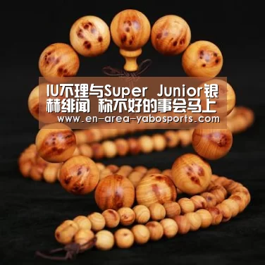 IU不理与Super Junior银赫绯闻 称不好的事会马上忘掉‘亚博’(图4)