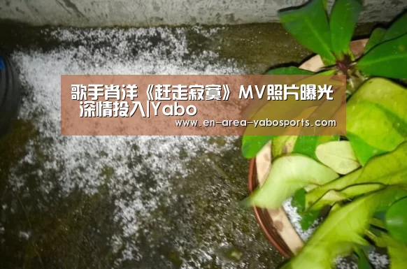 歌手肖洋《赶走寂寞》MV照片曝光 深情投入|Yabo(图2) 亚博体育
