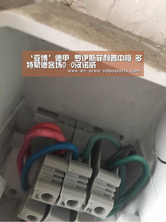 ‘亚博’德甲-罗伊斯菲利普中框 多特蒙德客场0-0汉诺威(图2) ‘亚博’德甲-罗伊斯菲利普中框 多特蒙德客场0-0汉诺威(图2)