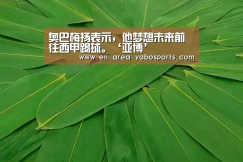 亚博体育