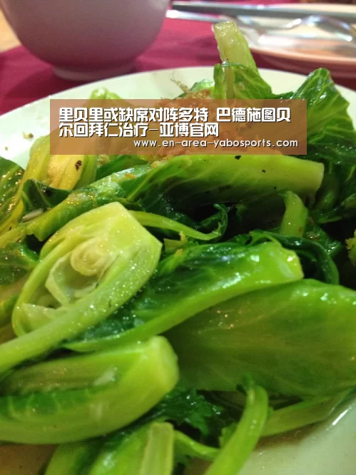 里贝里或缺席对阵多特 巴德施图贝尔回拜仁治疗-亚博官网(图3) 里贝里或缺席对阵多特 巴德施图贝尔回拜仁治疗-亚博官网(图3)